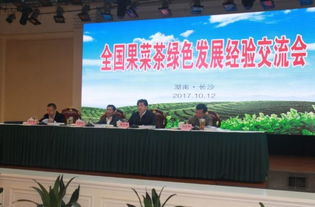 金井镇湘丰茶业 以茶为媒，推动绿色发展新篇章
